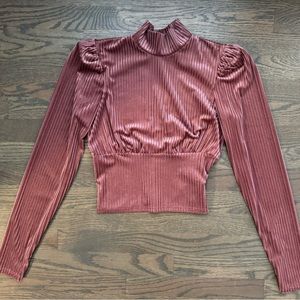 Gorgeous “Forever 21” Sz XS Velvet cropped Rose Top